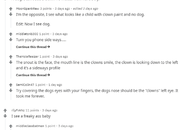 Reddit followers are so confused about this one.