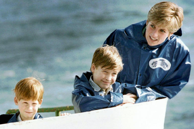 Princess Diana with Prince William and Prince Harry in 1991.