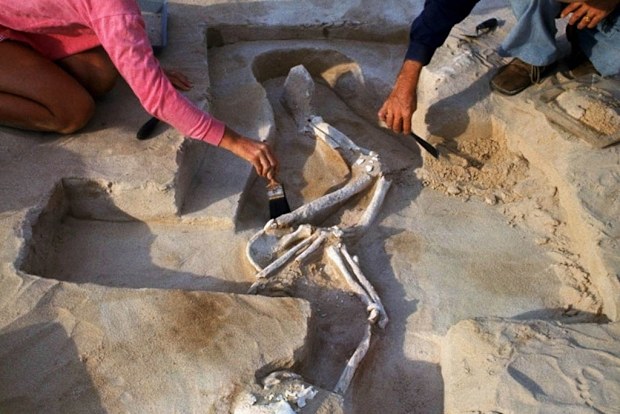  The remains of the 'Mungo Man' discovered in 1974 at lake Mungo, South Western NSW. (AAP)