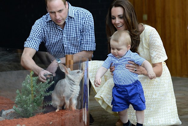 William, Kate and George view a Bilby and officially name the Prince George Bilby Exhibit, as part of their tour of New Zealand and Australia in Sydney, Australia, on the 20th April 2014.