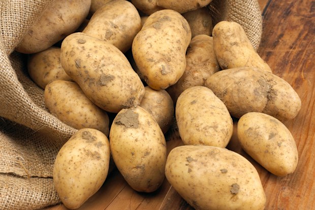 Bag of potatoes