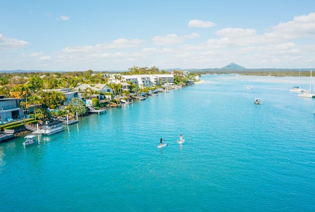 Paddle boarders on the Noosa River.