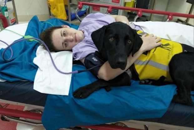 Dani in hospital seeking treatment after suffering injuries from her uncontrollable seizures. Baloo always by her side.