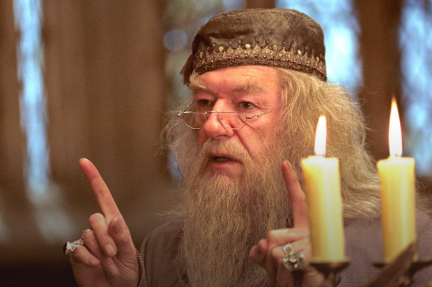 Albus Dumbledore 
