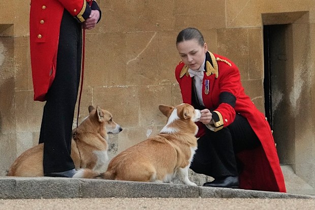 Members of staff, with corgi dogs, await the arrival of the coffin of Queen Elizabeth II at Windsor Castle, Windsor, England, Monday Sept. 19, 2022. The Queen, who died aged 96 on Sept. 8, will be buried at Windsor alongside her late husband, Prince Philip, who died last year. (AP Photo/Gregorio Borgia, Pool)