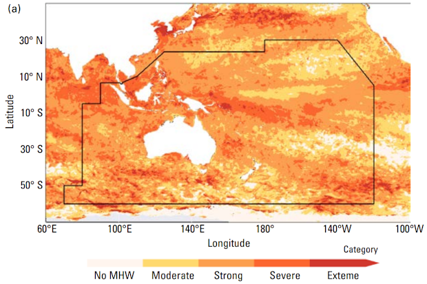 A map showing marine heatwaves in the South-West Pacific in 2024.