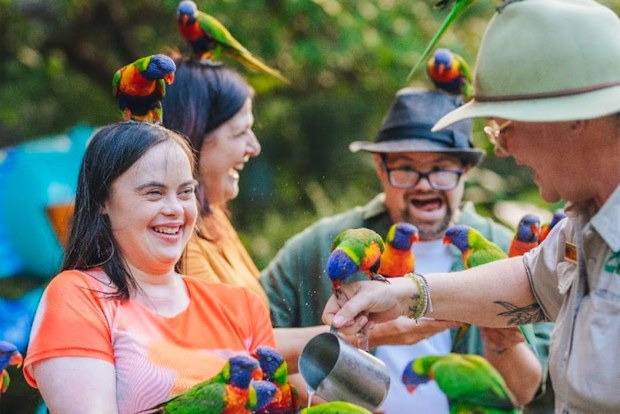 Lorikeet feeding at Currumbin Wildlife Sanctuary. 