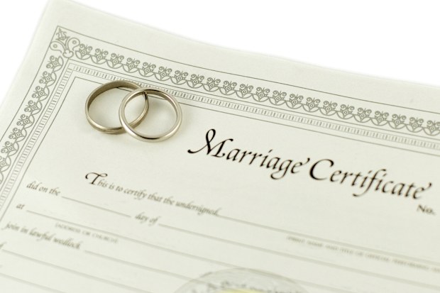 Marriage Certificate, Wedding, Bride, Document, Signing