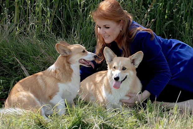 Sarah, Duchess of York with the late Queen Elizabeth's corgis