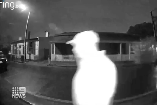 South Australian Police have seized CCTV vision from nearby residents.