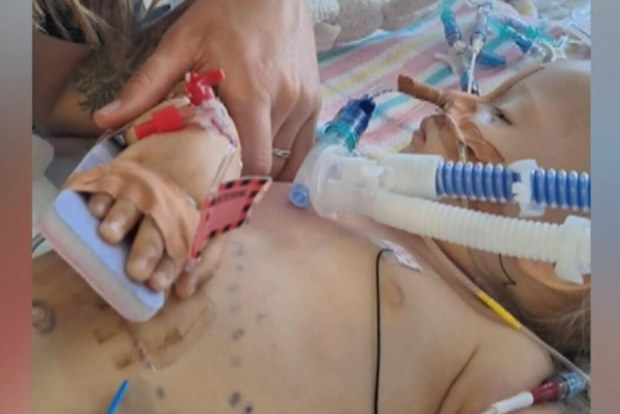 Australian medical professionals have issued an urgent warning to parents following a sharp rise in the number of young children swallowing button batteries. 