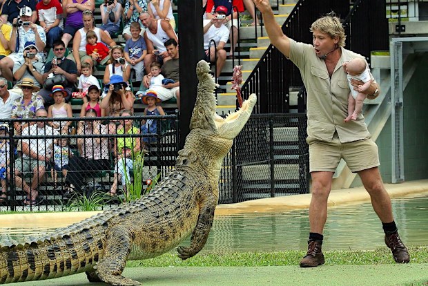 Steve Irwin