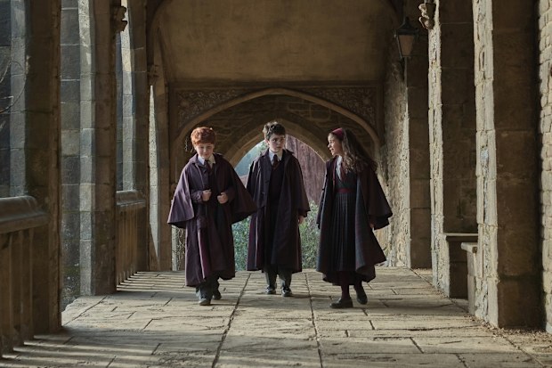 HBO Original series Harry Potter and the Philosopher's Stone first look Alastair stout as Ron Weasley, Dominic Mclaughlin as Harry Potter and Arabella Stanton as Hermione Granger 