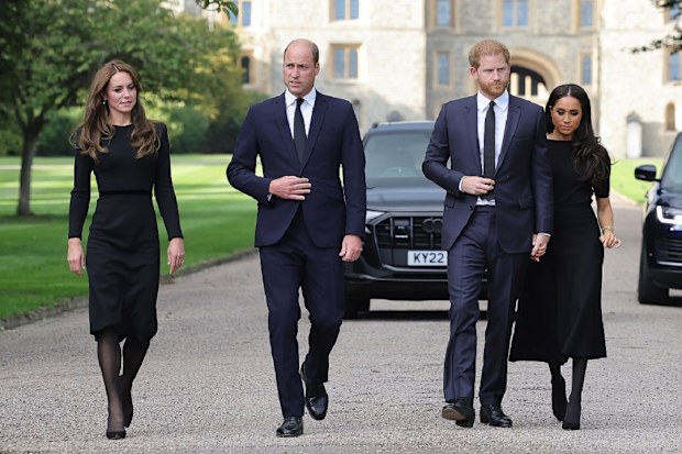 fab four floral tributes