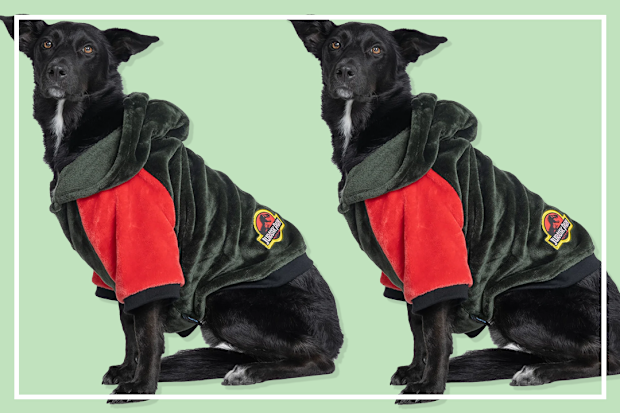 9PR: Jurassic Park Dog Oodie