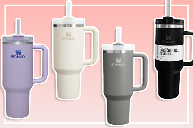Stanley Quencher H2.0 Flow State Tumbler