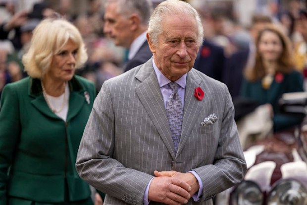 King Charles and Camilla, the Queen Consort