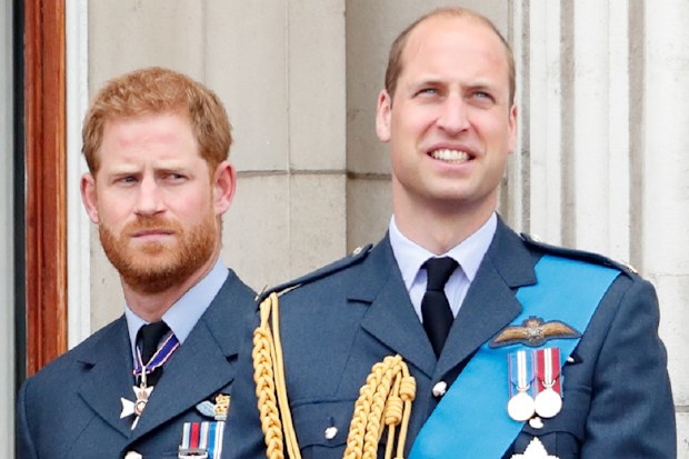 Harry and William olive branch