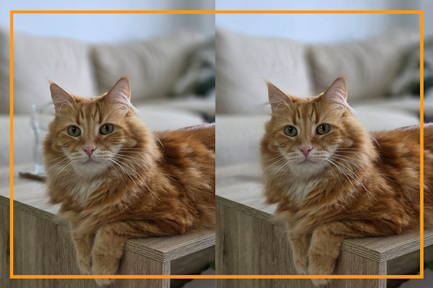 9PR: Samsung phone photos image editing