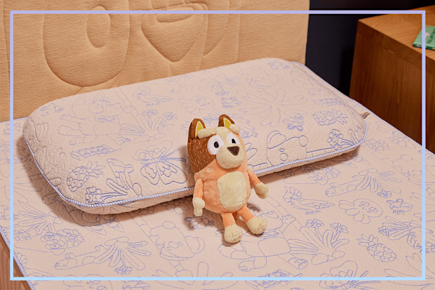 9PR Koala x Bluey collaboration