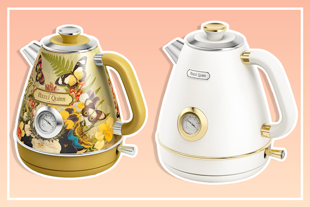 Hazel Quinn Electric Kettle Tea Kettle Electric Stainless Steel, Vintage Design, Fast Boiling, Hot Water with Thermometer, Automatic Shut-Off, Boil-Dry Protection, 1.7 L, 2200 W, White
