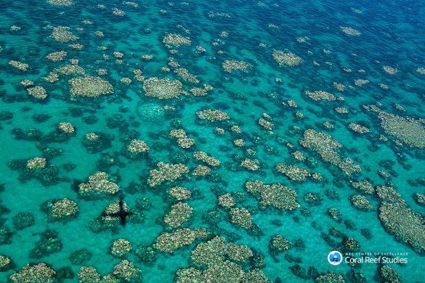An aerial hptograph of the Great Barrier Reef from April 2017 shows bleaching across large swathes of the water. (AAP)