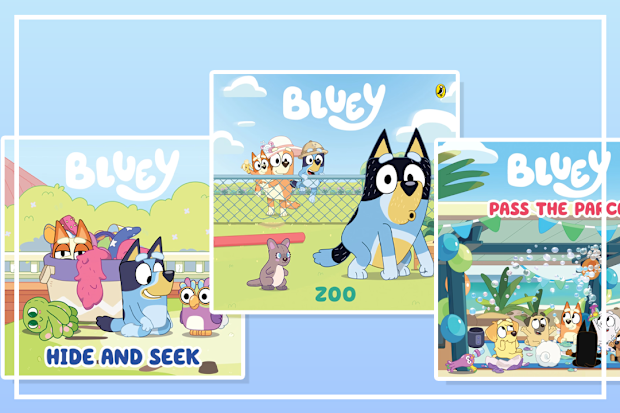 9PR: Bluey books