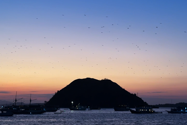 A fleet of bat-watchers anchor for their dusk emergence, marvelling at the setting sun's hues.