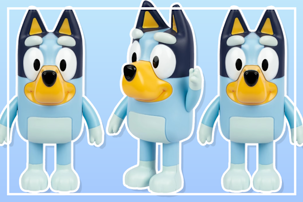 9PR: Bluey Hide and Seek Game