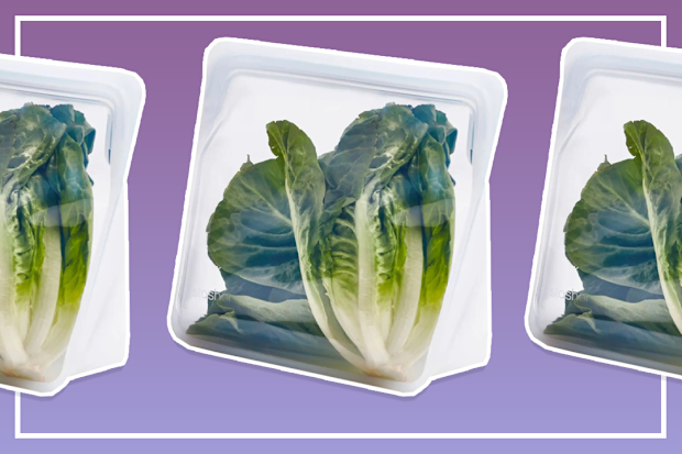 9PR: Stasher Reusable Silicone Storage Bags