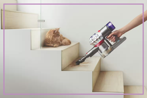 9PR: Dyson V8 Origin Extra Cordless Vacuum Cleaner
