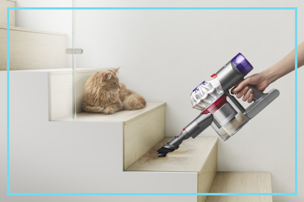 9PR: Dyson V8 Cordless