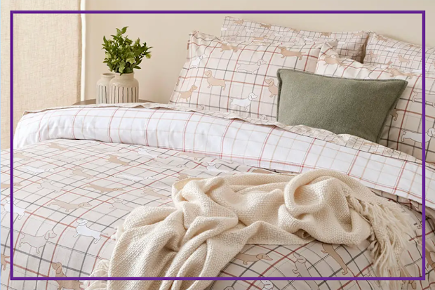 9PR: Charlie Reversible Flannelette Quilt Cover Set