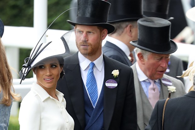 Harry and Meghan future in the monarchy King Charles