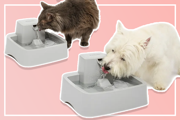 9PR: Petbarn Water Fountain