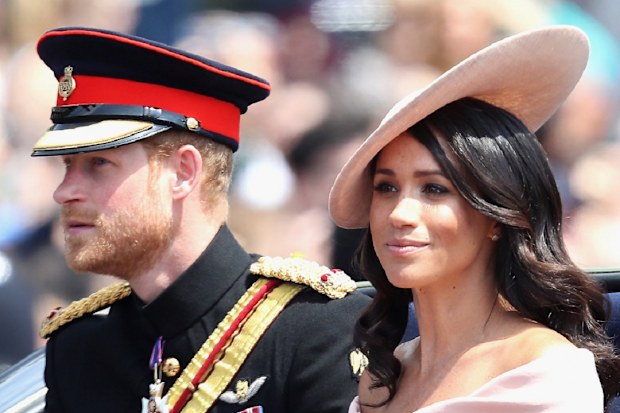 meghan markle king charles new book