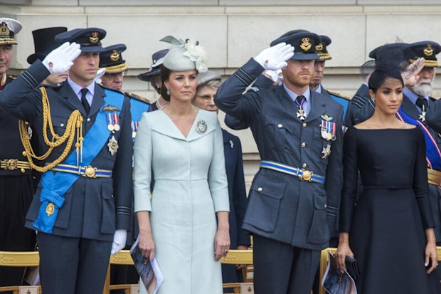 british royals harry and meghan and william and kate