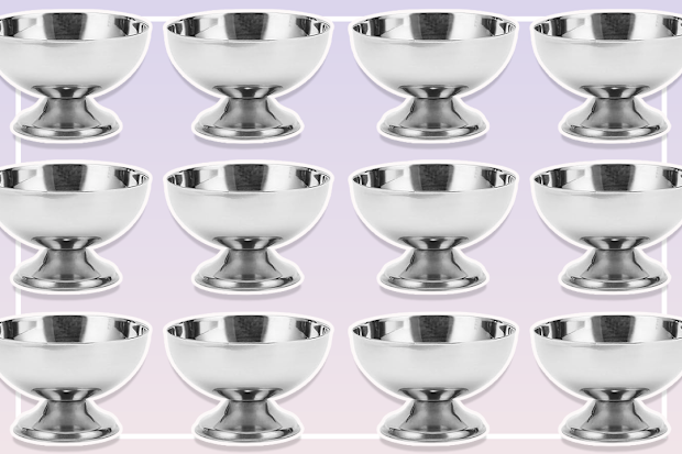 9PR Amazon silver ice cream bowl