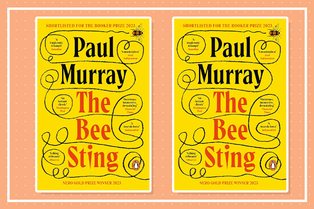 9PR: The Bee Sting, Paul Murray
