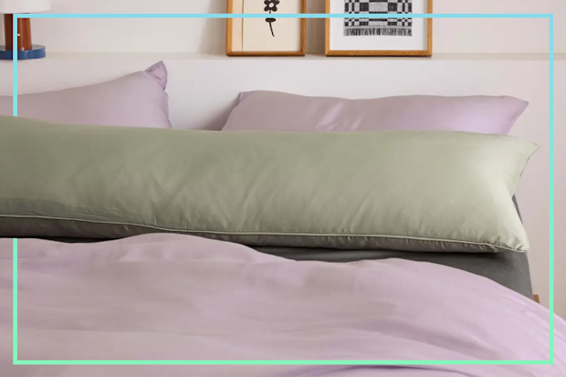 9PR: Sheet Society Full Feather Body Pillow