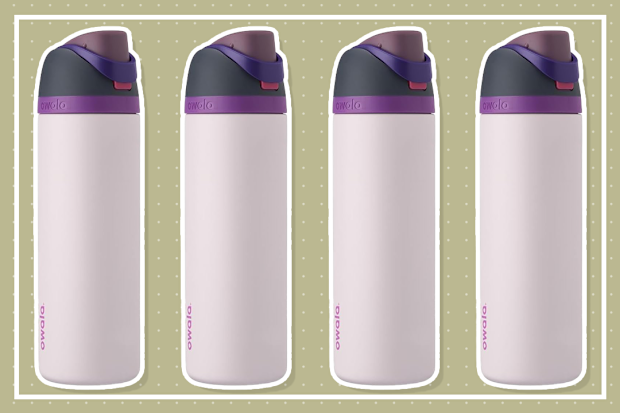 9PR: Owala FreeSip Stainless Steel Water Bottle