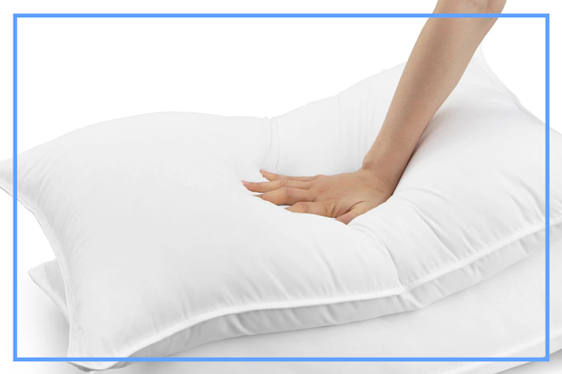 PR: Set of 2 Ovela Bamboo Fibre Pillows