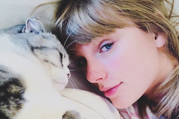 Taylor Swift and her pet cat Olivia Benson.