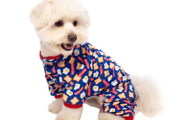 Bacon And Eggs Pyjamas 
