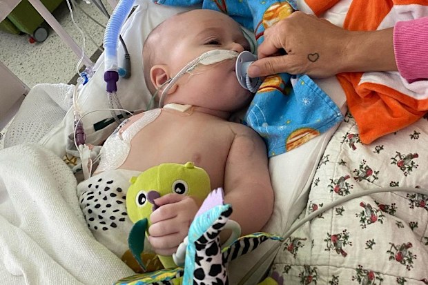 Four-month-old in Melbourne contracts JEV.