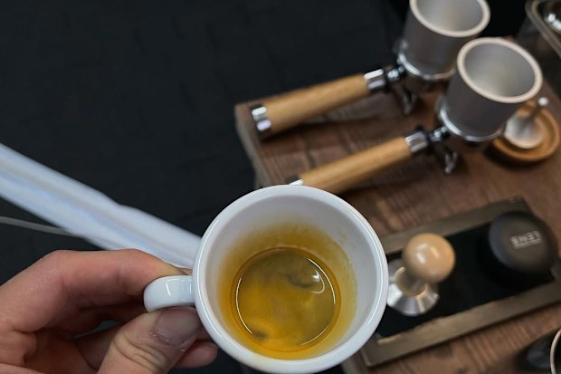 gabrel tan 2026 australian barista championships winner