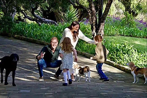 harry and meghan christmas card