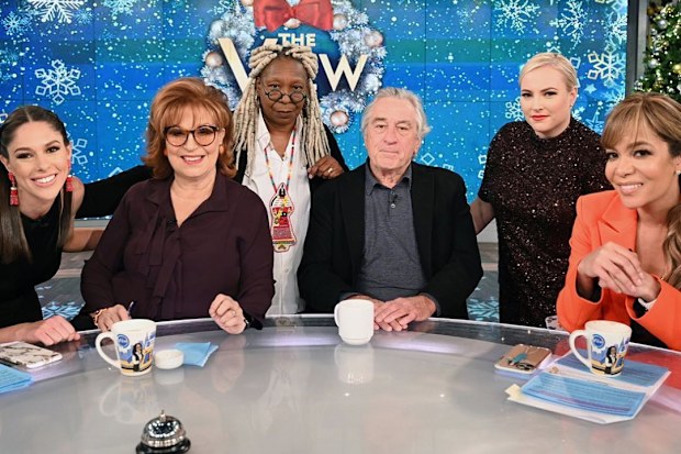 The View, Whoopi Goldberg, Meghan McCain, Robert De Niro, panel