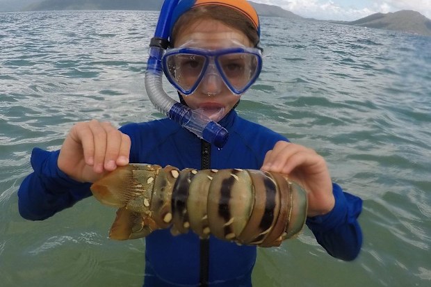 Eight-year-old Elijah Richardson from Queensland is campaigning to save the coral reef.