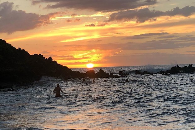 Maui Wildfires white lotus Connie Britton
